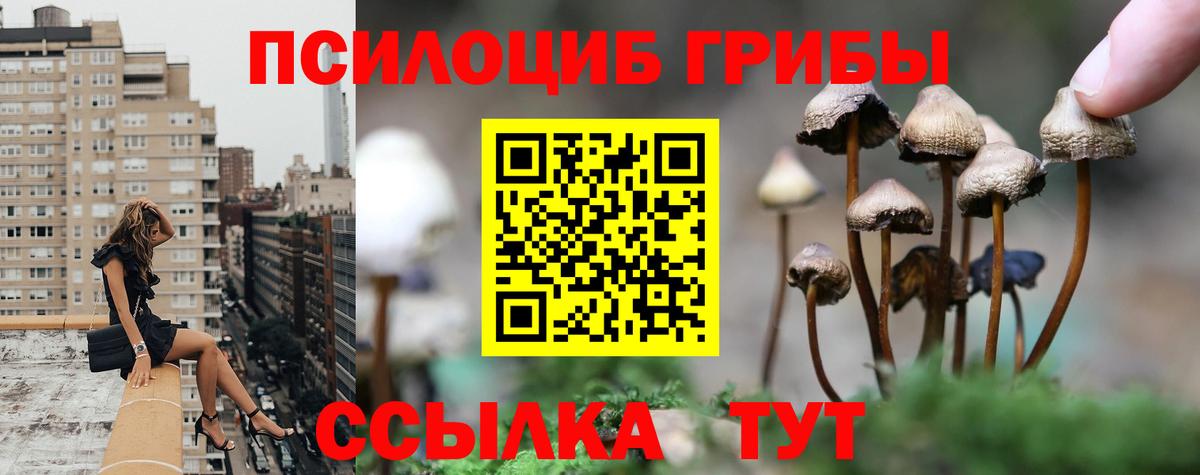 Галлюциногенные грибы мухоморы Медногорск