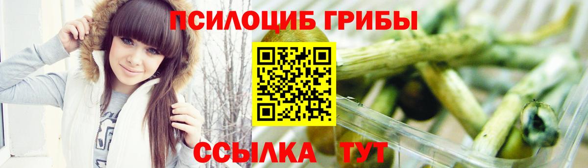 Галлюциногенные грибы Psilocybine cubensis  Псилоцибиновые грибы Psilocybine cubensis  Вход с VPN  Медногорск 